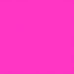 solid colour pink rose